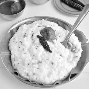 Curd Rice