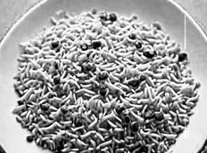 Chi Garlic Rice