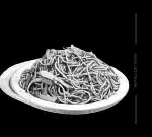 Chicken Hakka Noodle