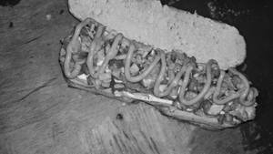 Paneer hot dog