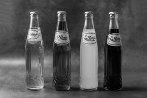 Pallonji Soda