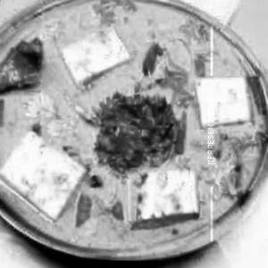 Paneer Srilankan