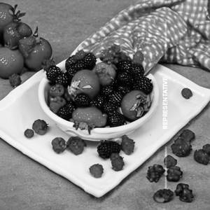 Summer Berries