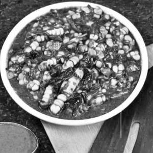 Palak Corn