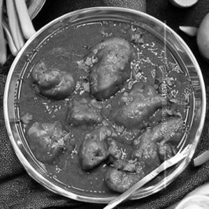 Boneless Special Ladmakai Chicken Gravy