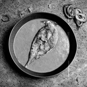 Regular Pomfret in Green Thai Curry