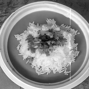 Steamed Rice