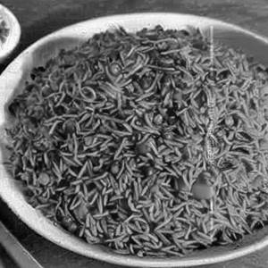 Veg Hongkong Rice