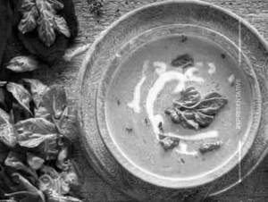 Cream of Palak Soup