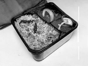 Veg. Navaratan Biryani