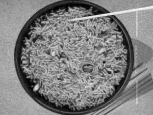 Veg Korean Rice