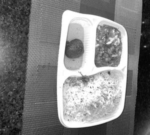 Veg Kheema Masala with 2 Butter Roti
