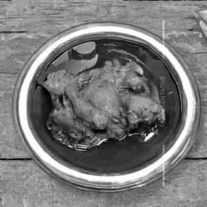 Chicken Black King