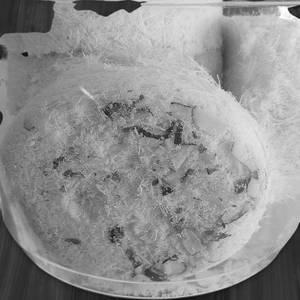 Sohan Cake(6Pcs)