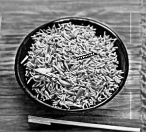 Korean Rice