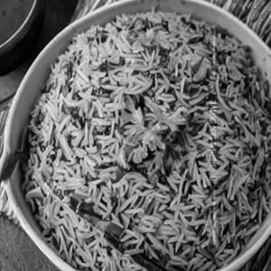 Palak Rice