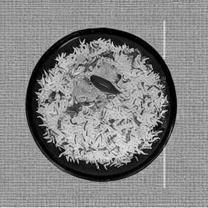 Chi Shezwan Combination Rice
