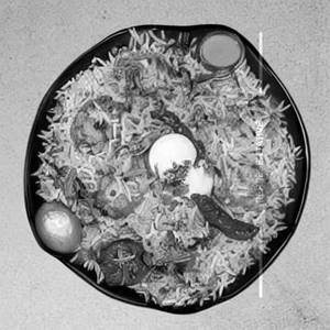 Veg Hyderabadi Biryani