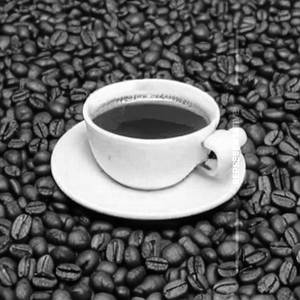 Gud Coffee