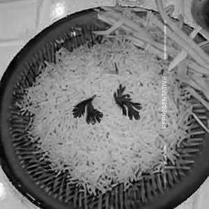 Steamed Rice