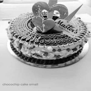 Choco Chip Cake Small