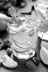 Mint Mojito