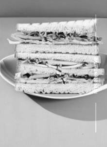 Plain Chutney Sandwich