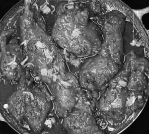 Chicken Tawa Boneless
