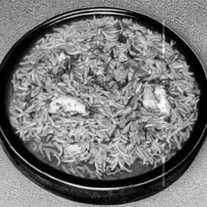 Chicken Schezwan Ginger Rice