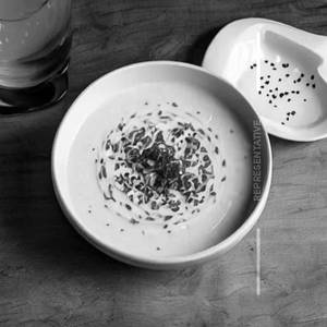 Vichyssoise