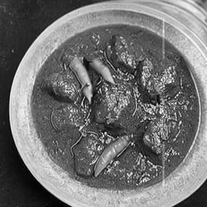 Kadai Mutton Gravy