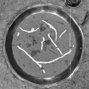 Dudh Sev ki Sabji