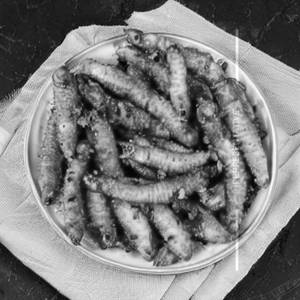 Golden Babycorn Fry