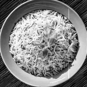 Veg Thai Herb Rice