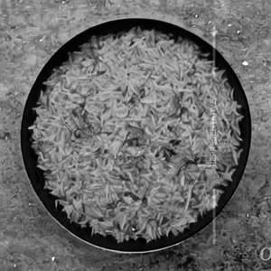 Tomato Rice