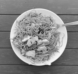 Chicken Hakka Noodles 750Ml