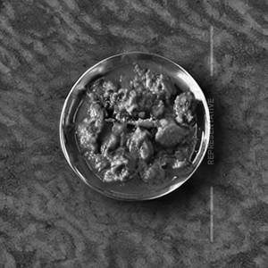 Mushroom Koliwada Masala