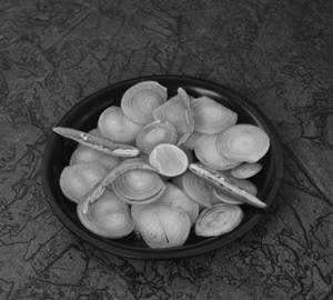 Onion Salad