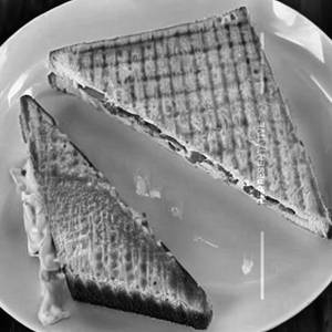 Paneer Corn Cheese Sandwich