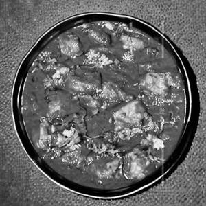 Ekadashi Special