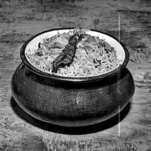 Gulnar Matka Biryani