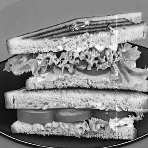 Veg Mayo Sandwich