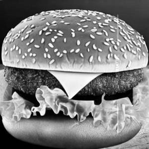 Cheese Burger [Double]