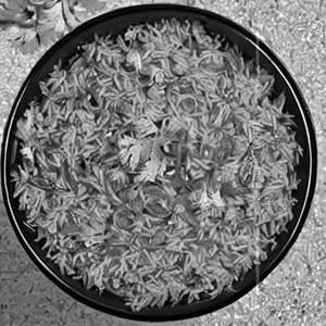 Masala Rice