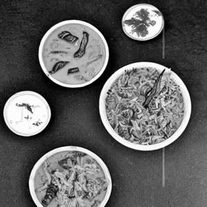 Thalassery Vegetable Biriyani