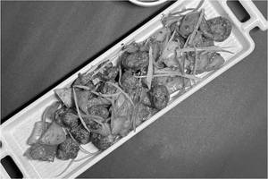 Chilly Mushroom Dry