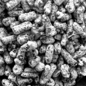 Crispy Corn