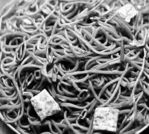 Paneer Hakka Noodles