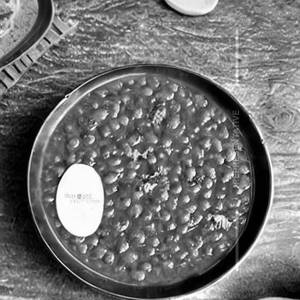 Paramjeet Special Dal Makhni