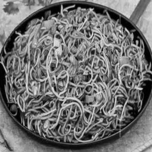 Tandoori Fried Noodles